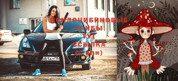 2c-b Алзамай