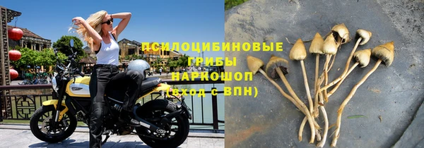 PSILOCYBIN Алексин