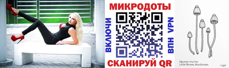 где купить наркоту  Мураши  Псилоцибиновые грибы прущие грибы 